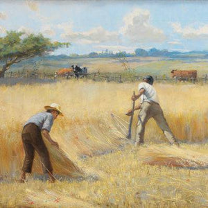 Harvest Time in France