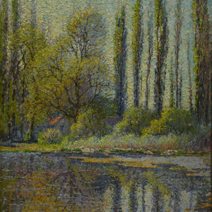 Poplars in Spring