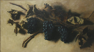 Bunches of Grapes - James Taylor Harwood