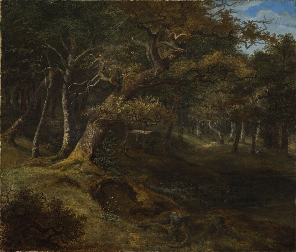 Hare-hunt in a Beech Forest - Christian Ezdorf