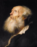Study of an Old Man by Jan Lievens — male oil painting wall art, Baroque