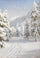 Winter landscape in bedroom