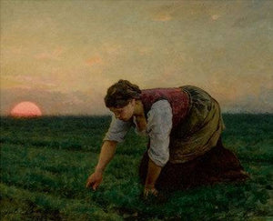 A Weeder - Jules Breton