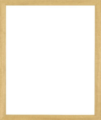 Frame Vertical