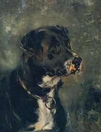 Head of a butcher's dog by Anton Romako — hand-painted animal oil painting reproduction on canvas