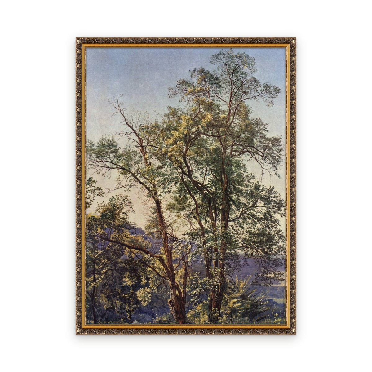 Olive trees — Framed, Framed in Classic Baroque · 42'' × 58''
