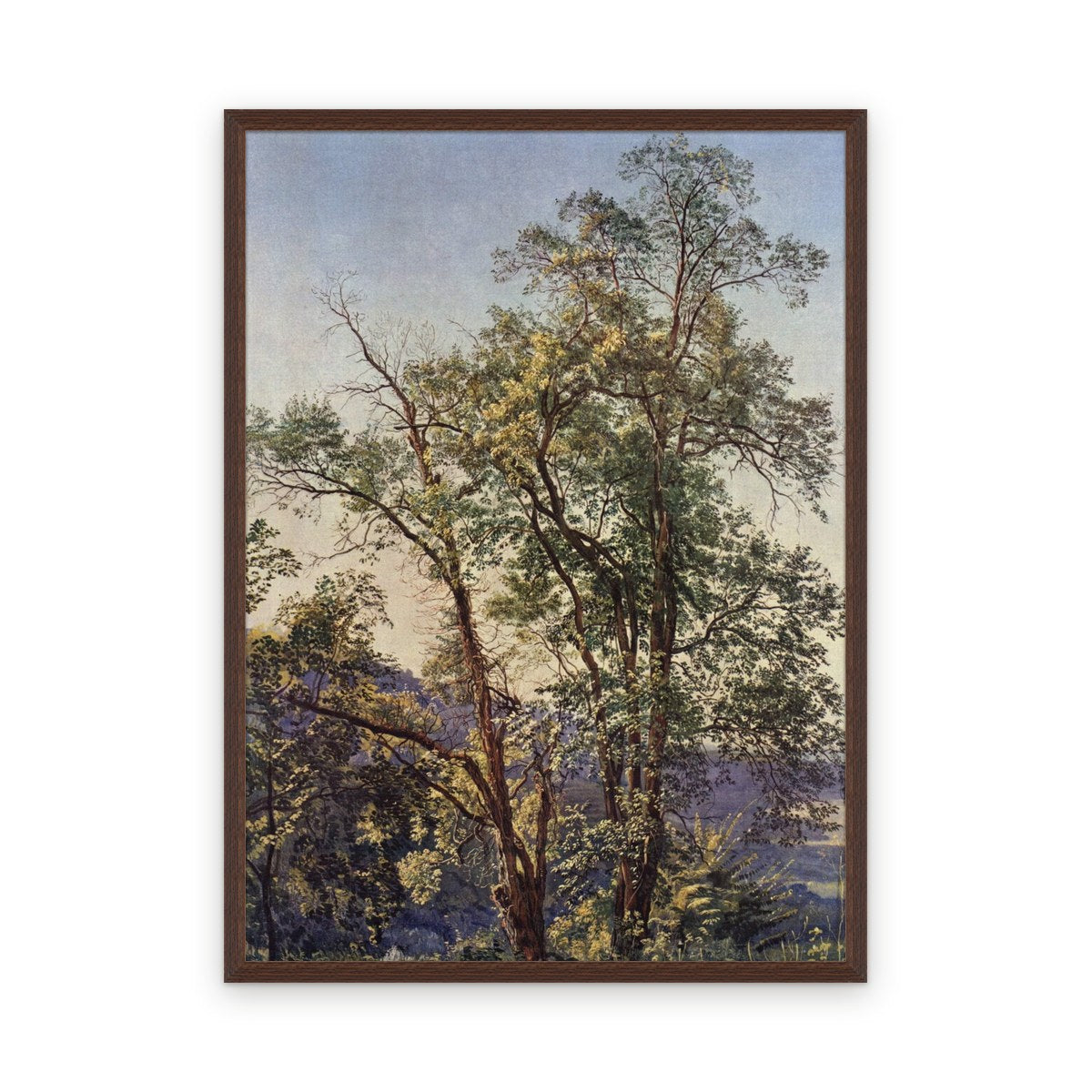Olive trees — Framed, Framed in Minimalist Dark · 42'' × 58''