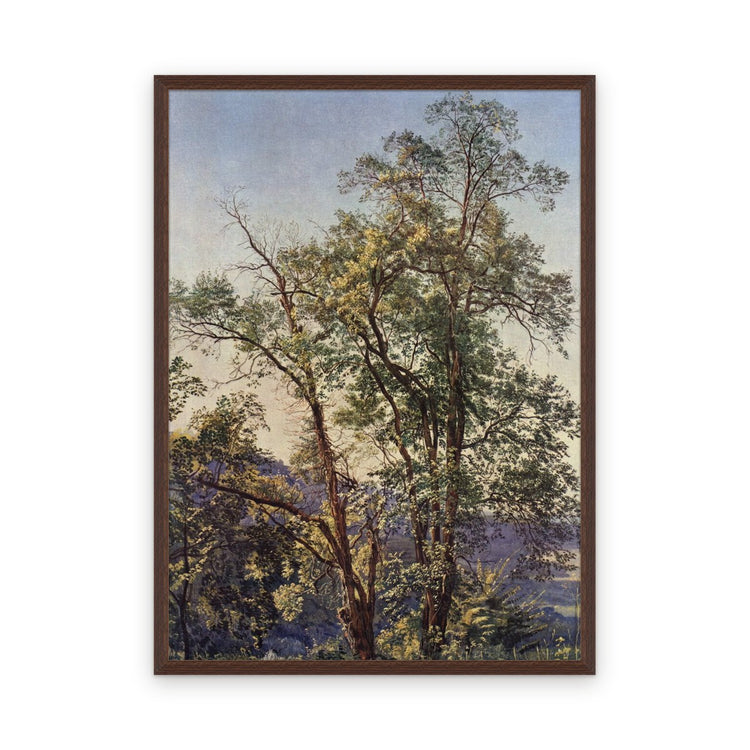 Olive trees — Framed, Framed in Minimalist Dark · 42'' × 58''