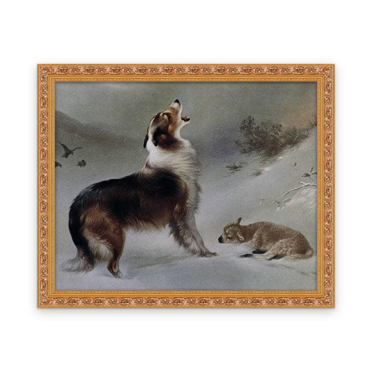 Dog — Framed, Framed in Classic Ornate · 30'' × 24''