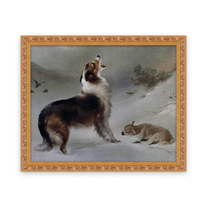 Dog — Framed, Framed in Classic Ornate · 30'' × 24''