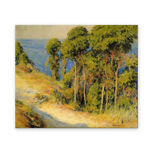Trees Along the Coast (Road to the Sea) — Gallery Wrap, Gallery Wrap · 19'' × 16''