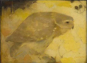 A bird of prey on a branch - Jan Mankes