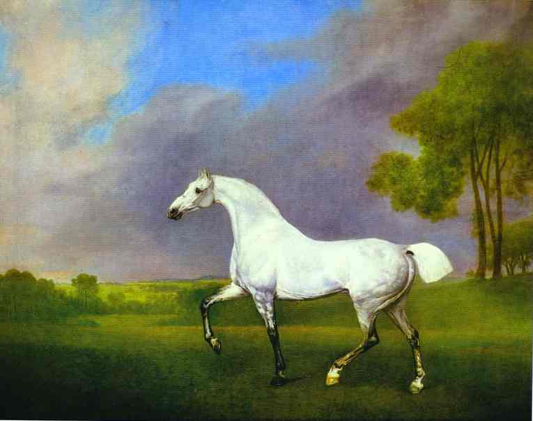 A Grey Horse - George Stubbs