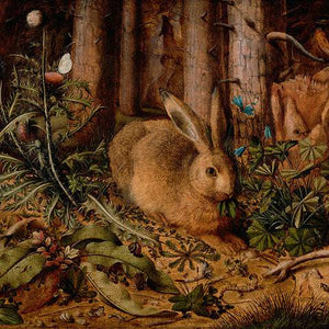 A Hare in the Forest (after Durer)