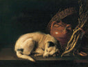 A Sleeping Dog with Terracotta Pot by Gerrit Dou — life oil painting wall art, Baroque