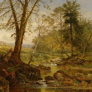 A Sunny Stream