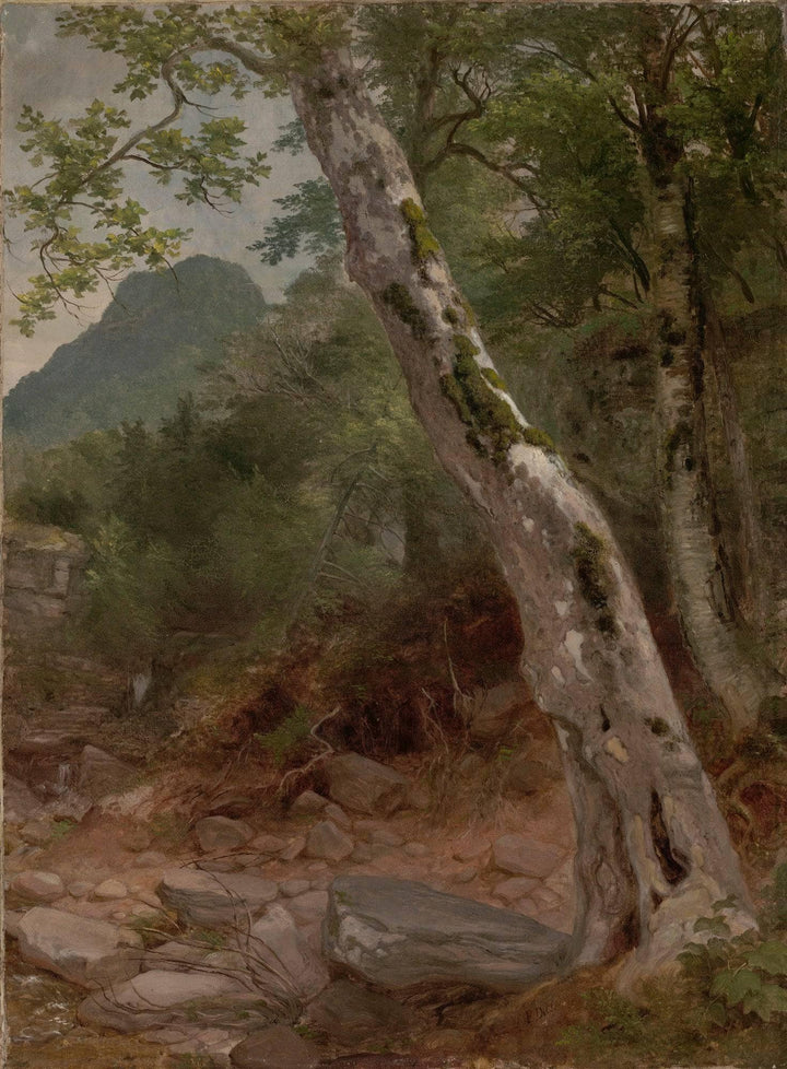 A Sycamore Tree, Plaaterkill Clove by Asher Brown Durand — hand-painted botanical oil painting reproduction on canvas
