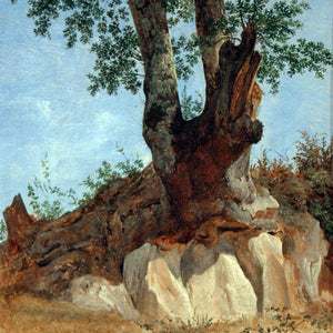 A Tree in the Campagna