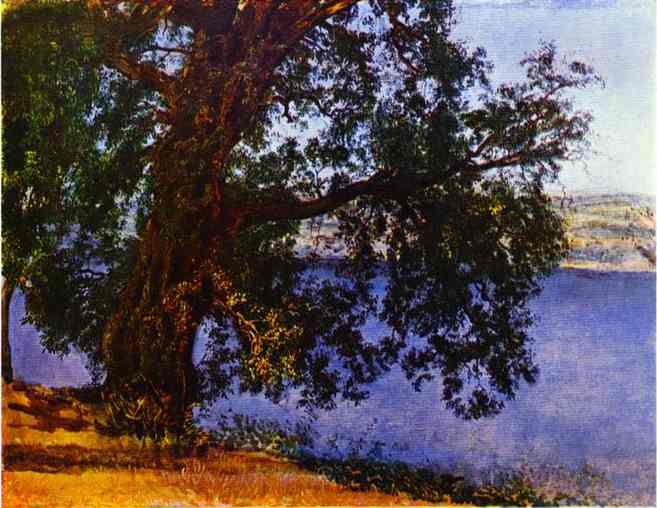 A Tree over Water in the Vicinity of Castel Gandolfo - Alexander Ivanov