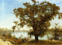 A View from Sacramento by Albert Bierstadt — hand-painted botanical oil painting reproduction on canvas