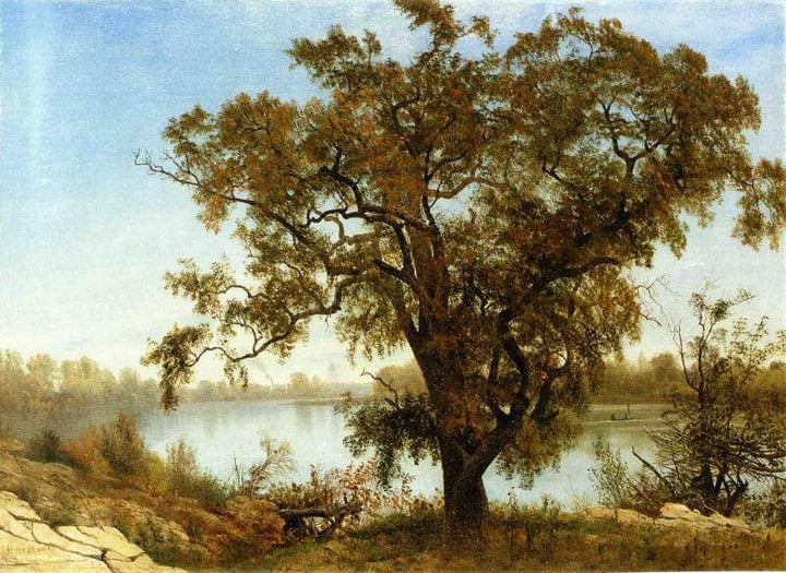 A View from Sacramento by Albert Bierstadt — hand-painted botanical oil painting reproduction on canvas