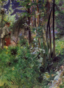 A Woman in a Forest by Anders Zorn — hand-painted botanical oil painting reproduction on canvas