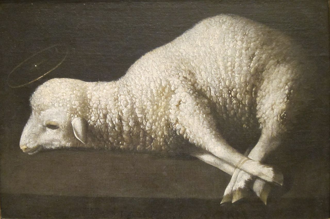 Agnus Dei - Francisco de Zurbaran