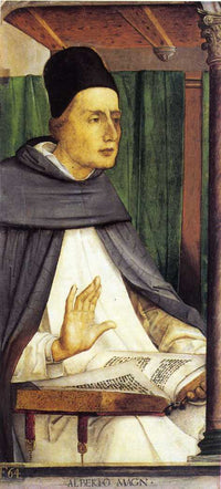 Alberto Magno