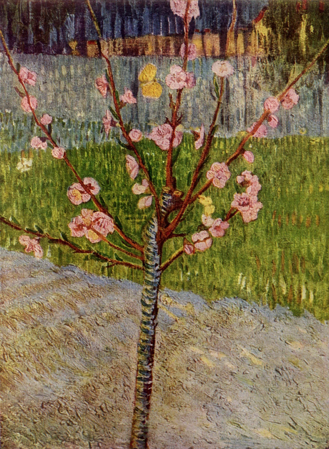 Almond Tree in Blossom by Vincent van Gogh — hand-painted botanical oil painting reproduction on canvas