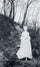 An elegant lady walking on a woodland path in hallway