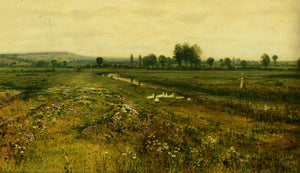 An Extensive Meadow Landscape with Geese by a Stream - John Atkinson Grimshaw