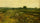 An Extensive Meadow Landscape with Geese by a Stream in study