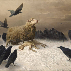Anguish