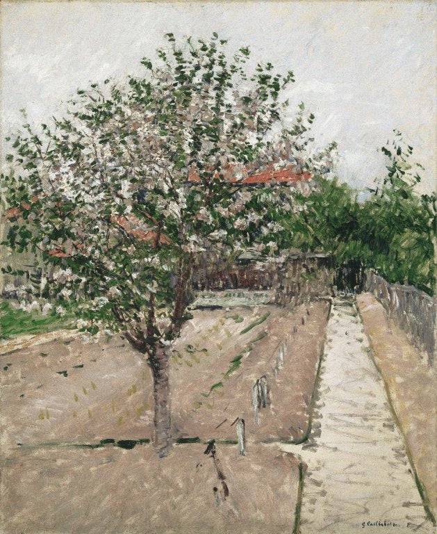 Apple Tree in Blossom - Gustave Caillebotte