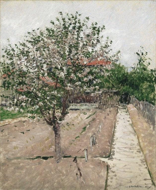 Apple Tree in Blossom by Gustave Caillebotte — hand-painted botanical oil painting reproduction on canvas