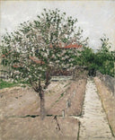 Apple Tree in Blossom by Gustave Caillebotte — flower oil painting wall art, Impressionism
