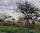 Apple Trees at Pontoise in modern living room