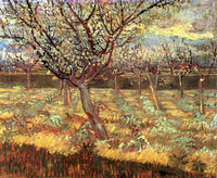 Apricot Trees in Blossom by Vincent van Gogh — hand-painted botanical oil painting reproduction on canvas