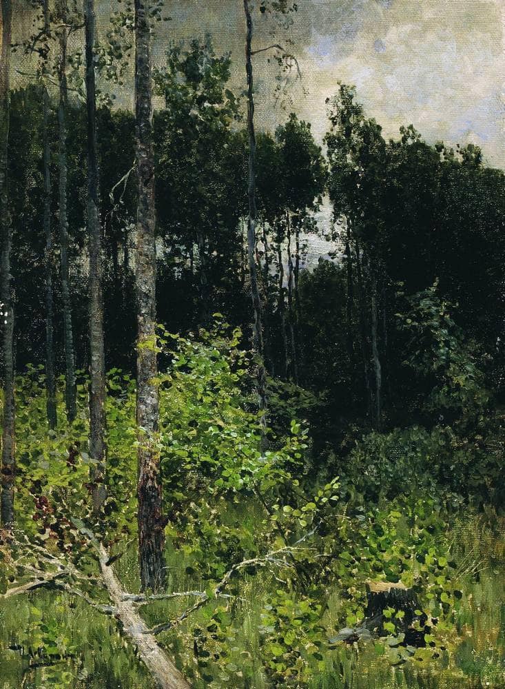 Aspen spinny. A gray day. by Isaac Levitan — hand-painted botanical oil painting reproduction on canvas