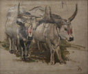 Attelage De Zébus En Inde, Étude by Paul-Albert Besnard — hand-painted animal oil painting reproduction on canvas