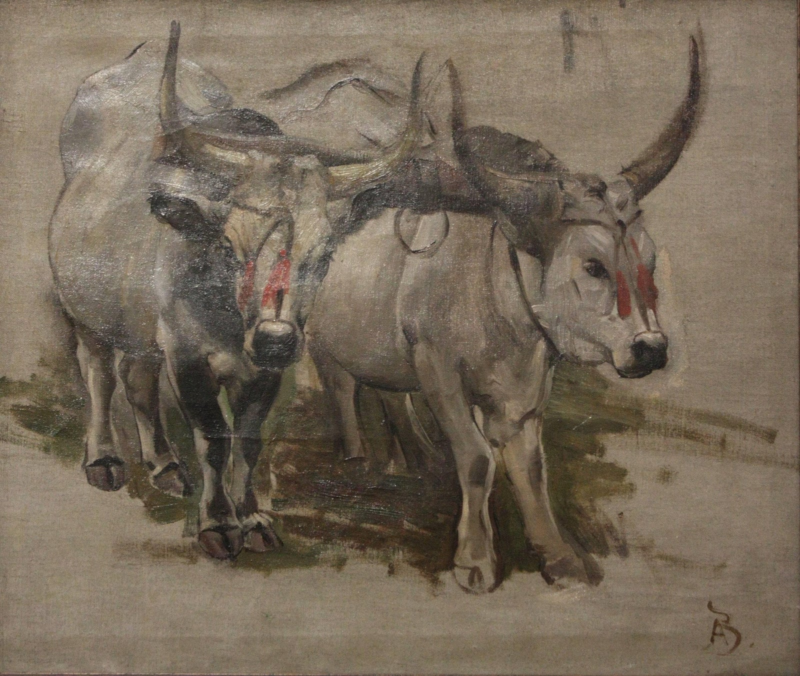 Attelage De Zébus En Inde, Étude