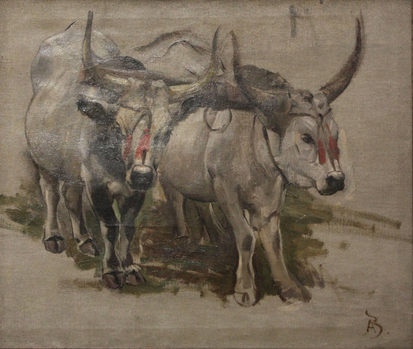 Attelage De Zébus En Inde, Étude