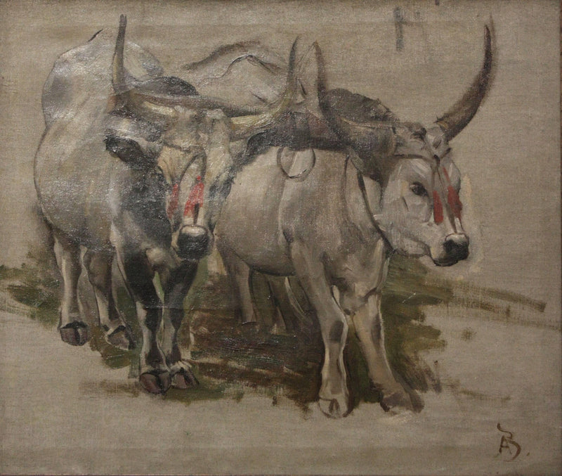 Attelage De Zébus En Inde, Étude on gallery wrap