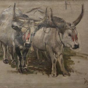 Attelage De Zébus En Inde, Étude