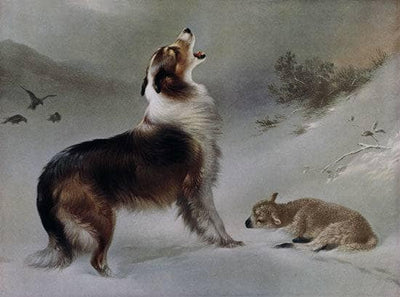 Dog by August Friedrich Schenck — oil painting reproduction