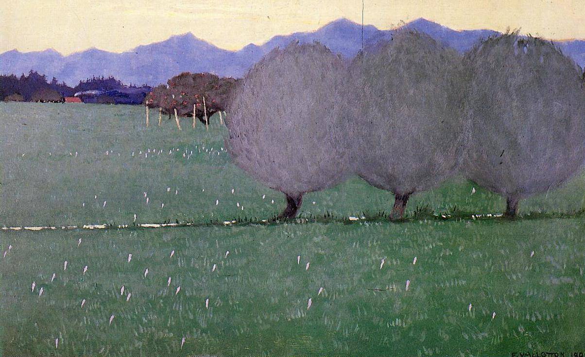 Autumn Crocuses - Felix Vallotton