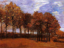 Autumn Landscape by Vincent van Gogh — hand-painted botanical oil painting reproduction on canvas