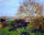 Autumn morning at Eragny in home office