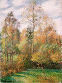 Autumn, Poplars by Camille Pissarro — forest oil painting wall art, Impressionism