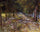 Avenue in Voyer d'Argenson Park at Asnieres in dining room